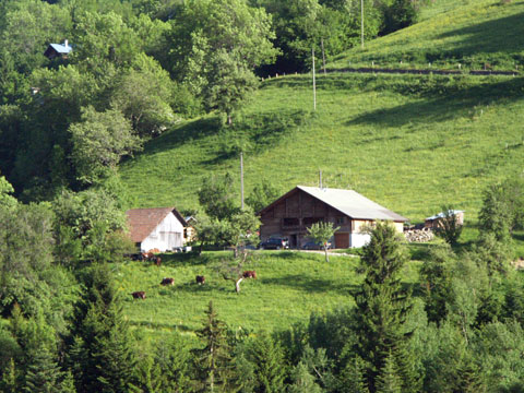 ferme de montagne village de Manigod agriculture et élevage en montagne